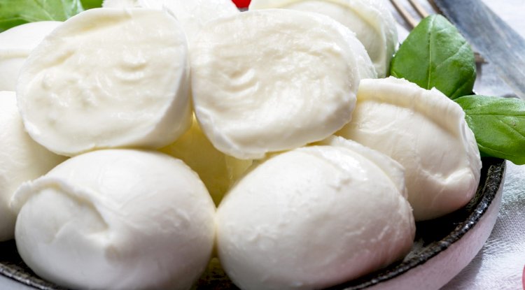 Homemade Fresh Mozzarella Cheese Recipe