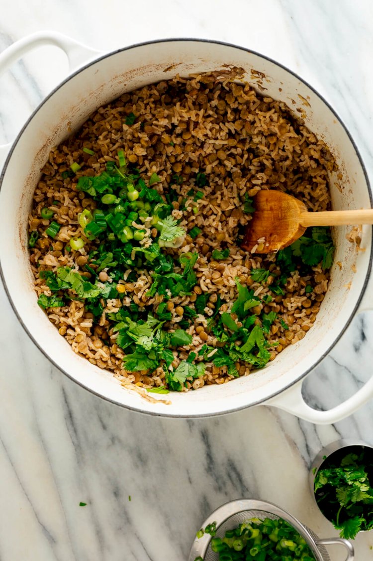 Mujadarra Recipe